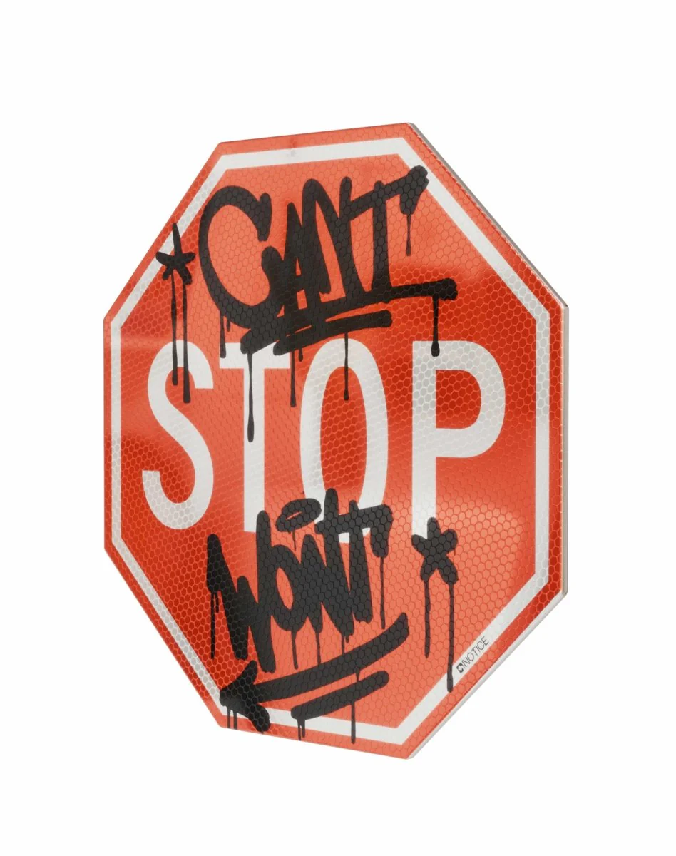 CAN'T STOP WONT STOP - Image 5